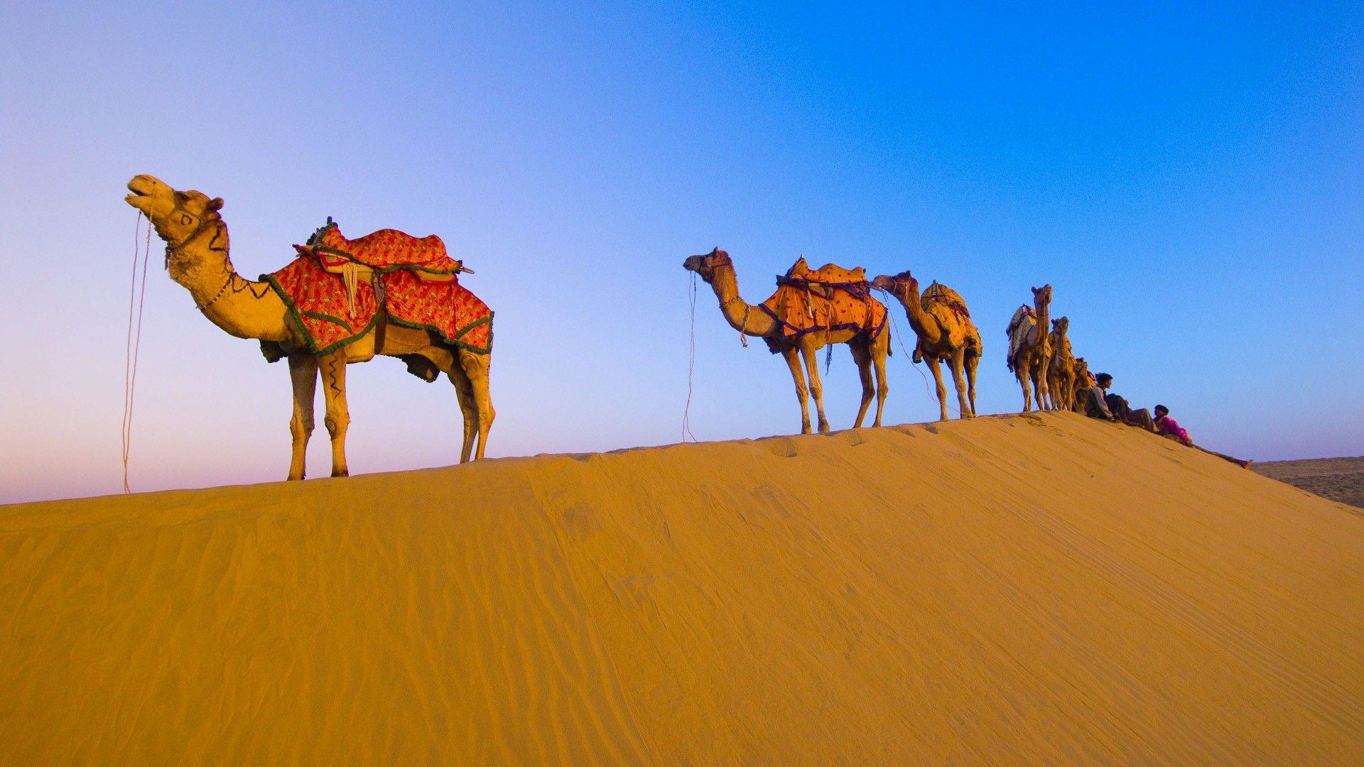 7 Days Royal Rajasthan - Palaces, Forts & Desert Safari
